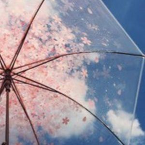 Meet your Posher, Ava